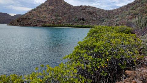 Loreto, Baja California Sur