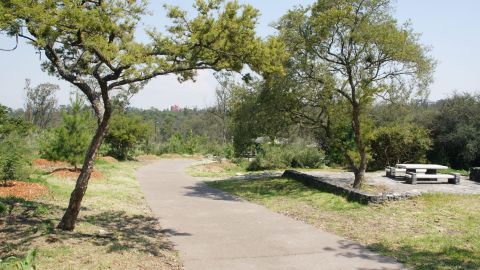 Bosque de Chapultepec