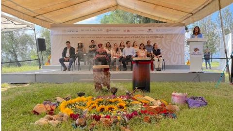 Cerro de la estrella