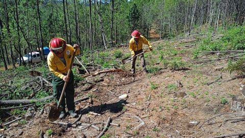 Incendios forestales