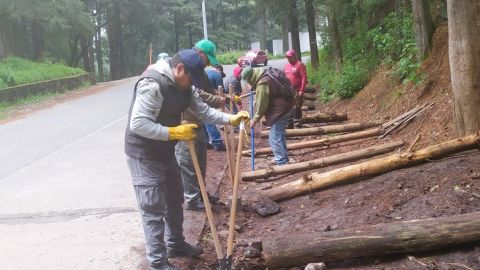 Desierto de los Leones