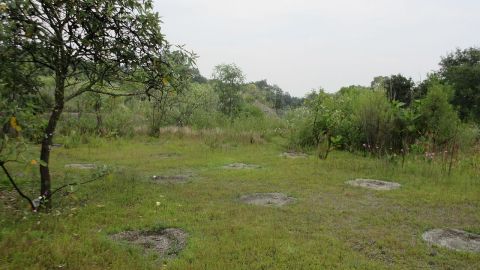 Parque Ecológico de la Ciudad de Mexico. 