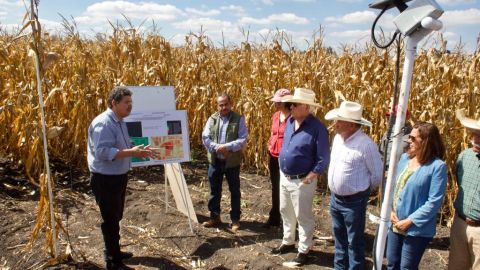 Recuperación de lagos en Michoacán