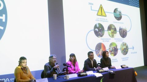 Ajolote en Xochimilco