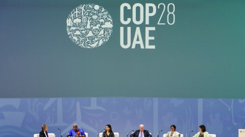 COP28