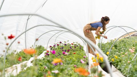 Jardinería