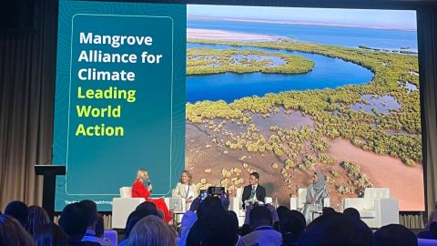 Alianza Global de Manglares