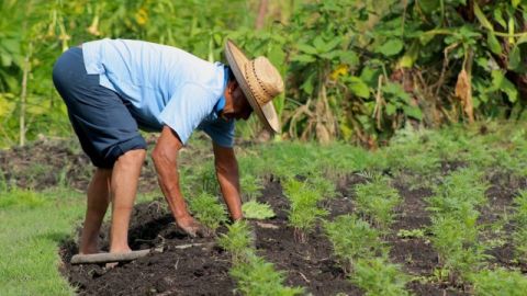 programa Altépetl Bienestar