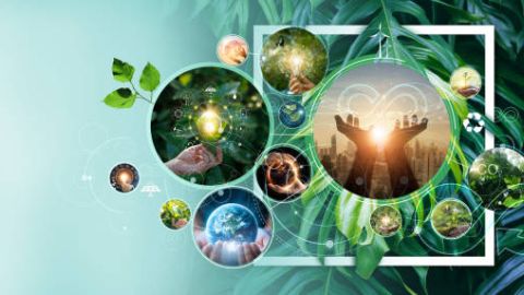 Economía Circular OFEC