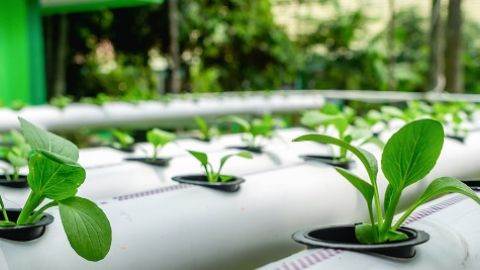 Expo Greentech Americas 