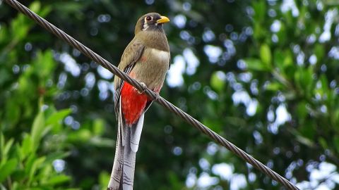 Reserva de la Biosfera Sierra de Vallejo-Río Ameca