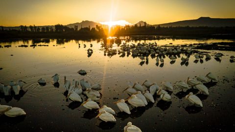 Suelo de Conservación