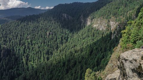 Parque Ecológico Los Dinamos