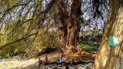 Centinelas del Tiempo