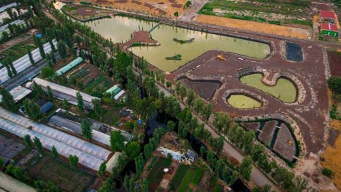 Centro para la Preservación de la Biodiversidad de la Ciudad de México. 