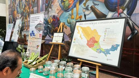 Política agropecuaria de México