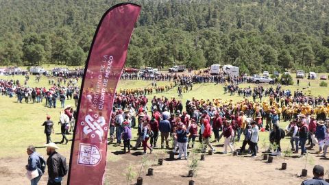 Reforestación de la CDMX