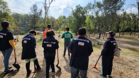 Reforestación Bimbo