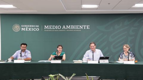 Fondo del Marco Mundial de la Diversidad Biológica 