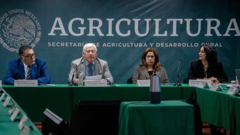 Plataforma de Acción Climática en Agricultura de América Latina y el Caribe