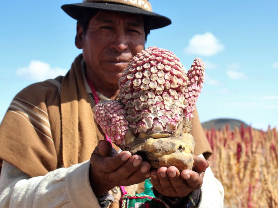 Indígena de la comunidad de Salinas de Garci Mendoza (Bolivia) 
