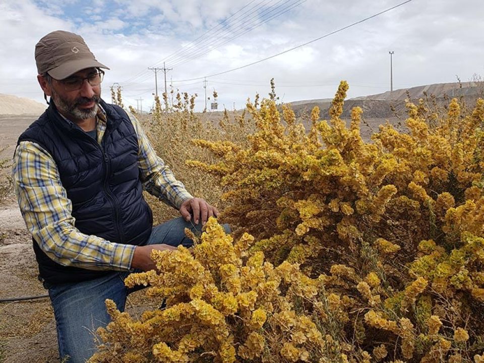 Manuel Paneque en el Desierto verde en Chile