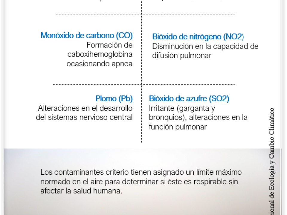 Efectos a la salud. contaminación del aire