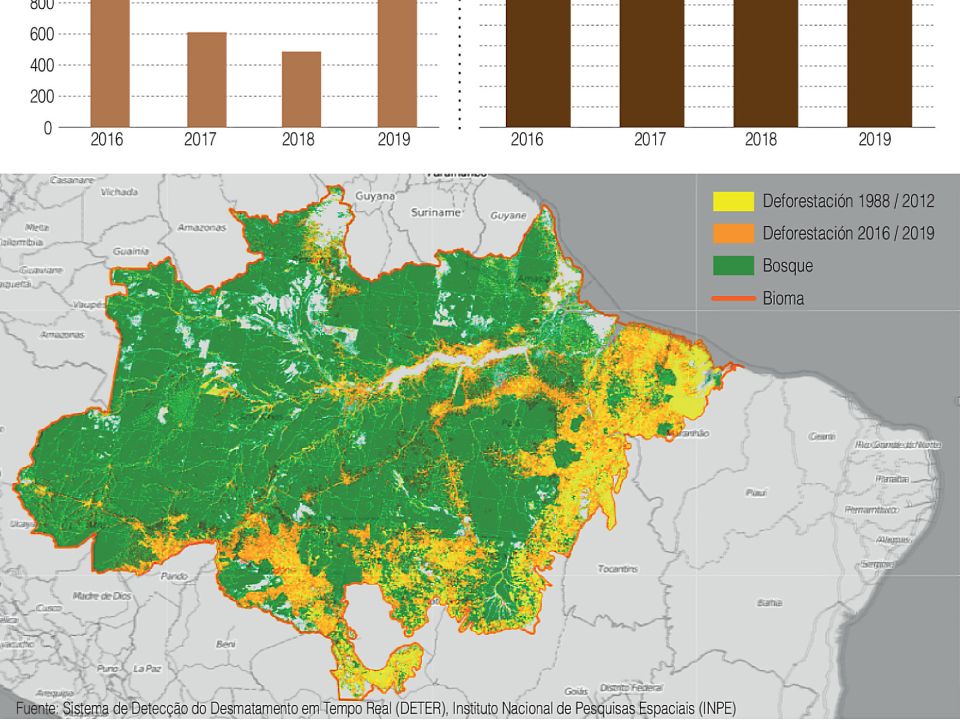 Infografía. Deforestación de la Amazonia