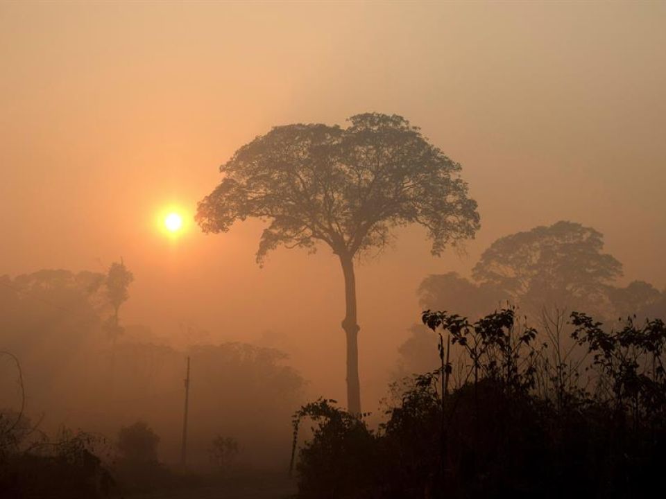 Humo en la Amazonia