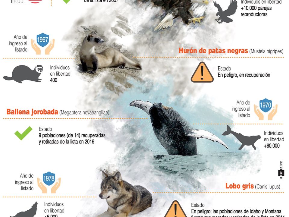 Infografía. EUA Modifica Ley De Especies Protegidas