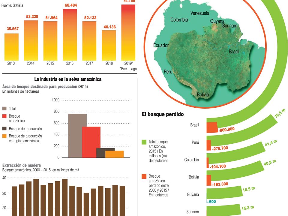 Infografía de la Amazonia