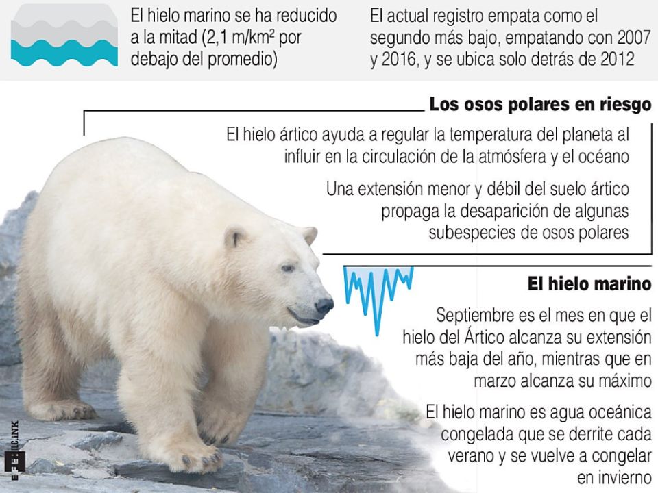 Infografía. Deshielo en el Ártico