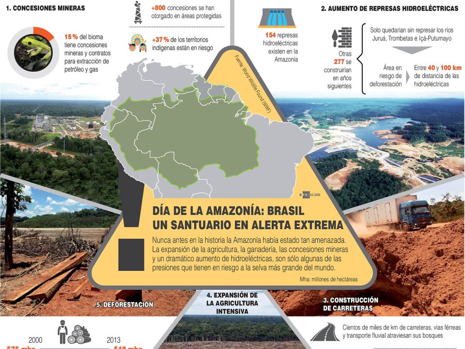 Infografía del Día de la Amazonia