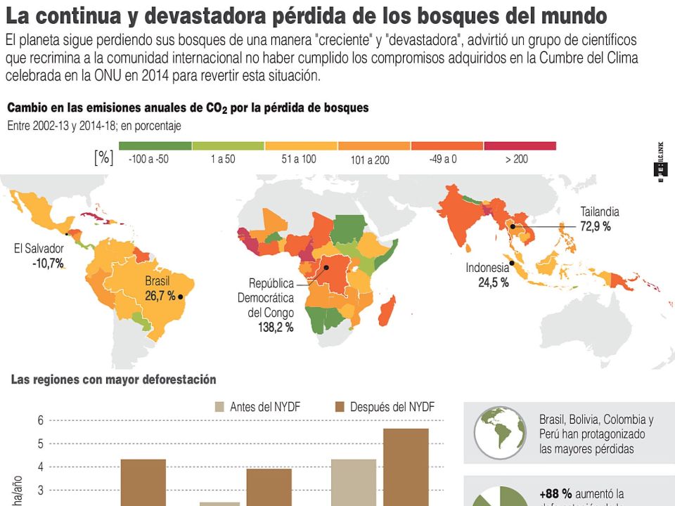 Infografía.Pérdida de los bosques del mundo