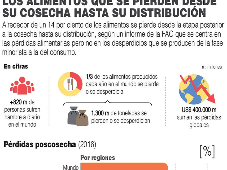 Infografía. Desperdicio de alimentos