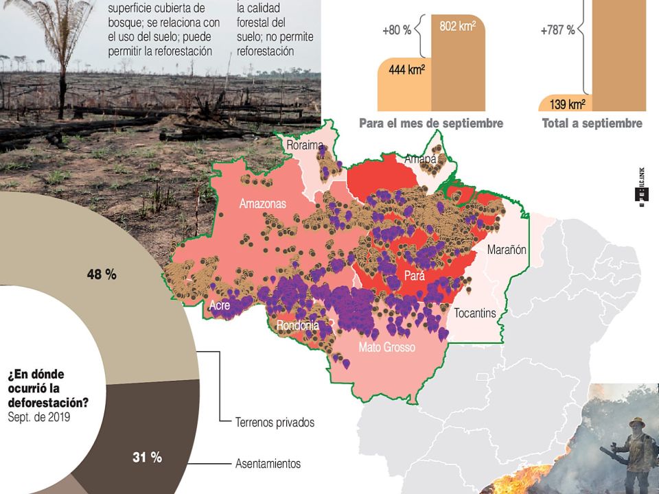 Infografía. Deforestación de Amazonia en Septiembre