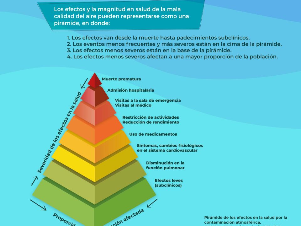 Infografía NOM-172