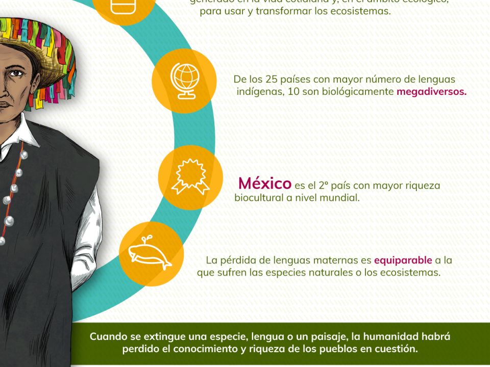 Infografía. Lenguas maternas