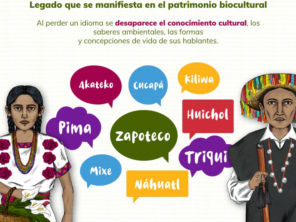 Infografía. Lenguas maternas