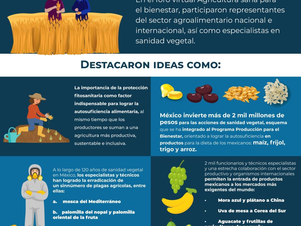 Infografía de Sanidad vegetal