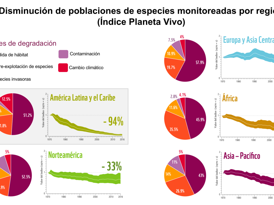 Infografía Planeta Vivo