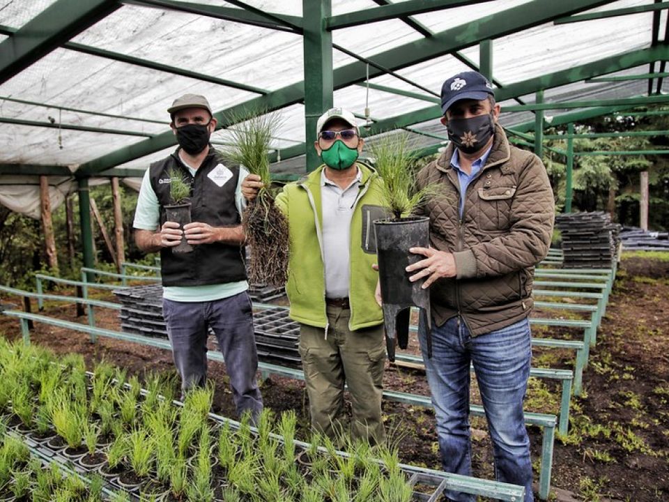 Vivero del Parque Nacional Nevado de Colima