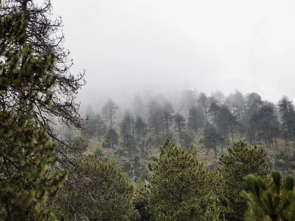 Parque Nacional Nevado de Colima