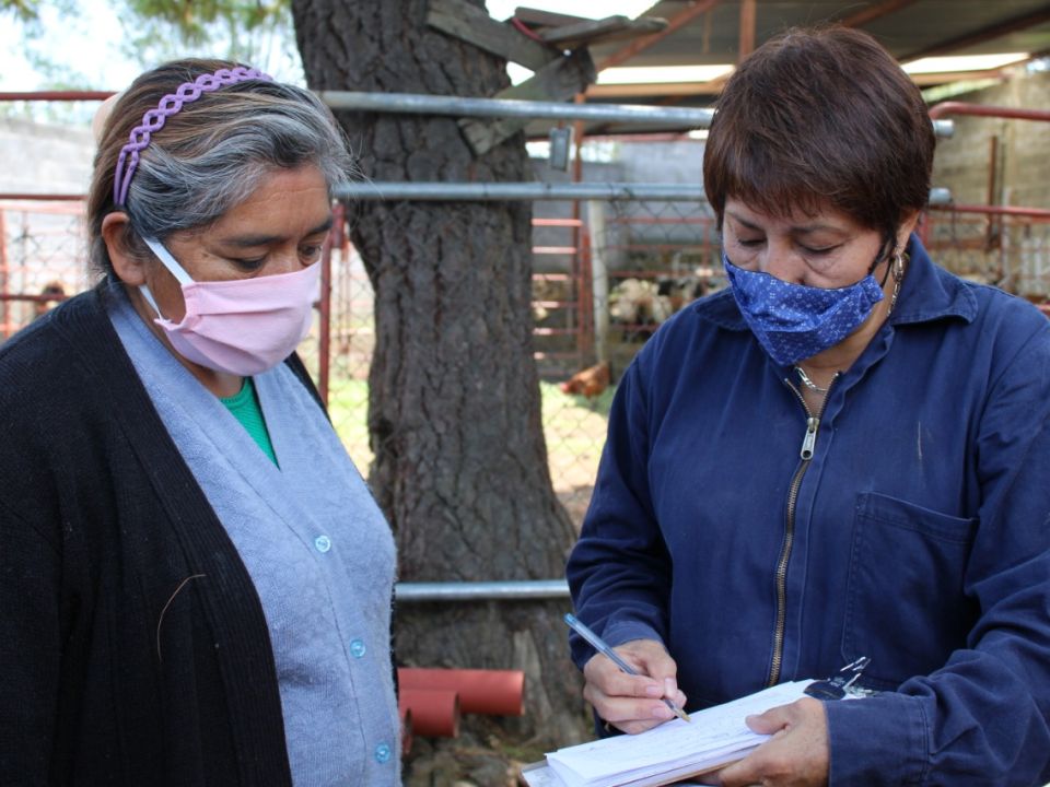 Clínica Veterinaria Itinerante 