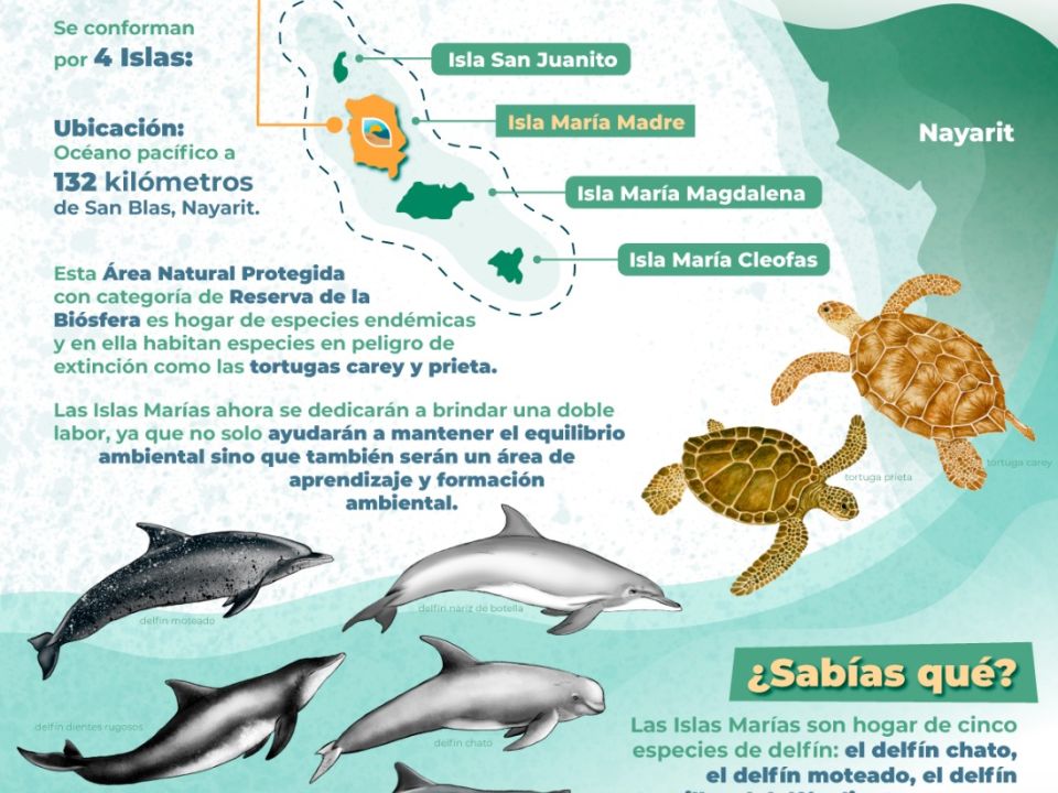 Infografía. Muros de agua