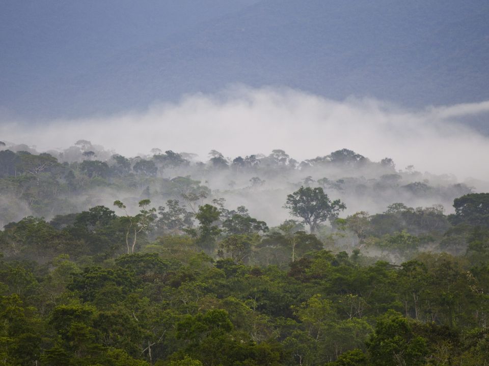 Amazonía ecuatoriana