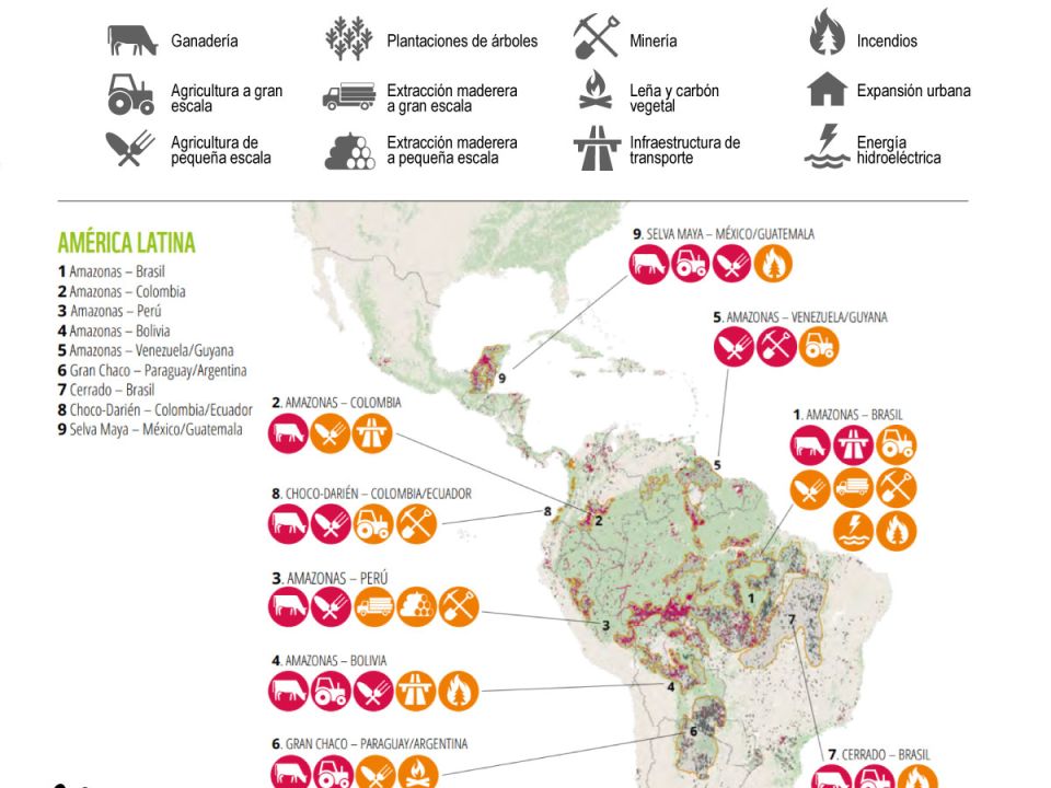 Infografía deforestación