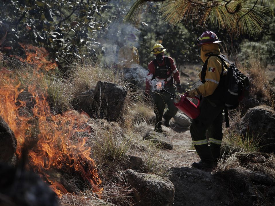 Incendios forestales