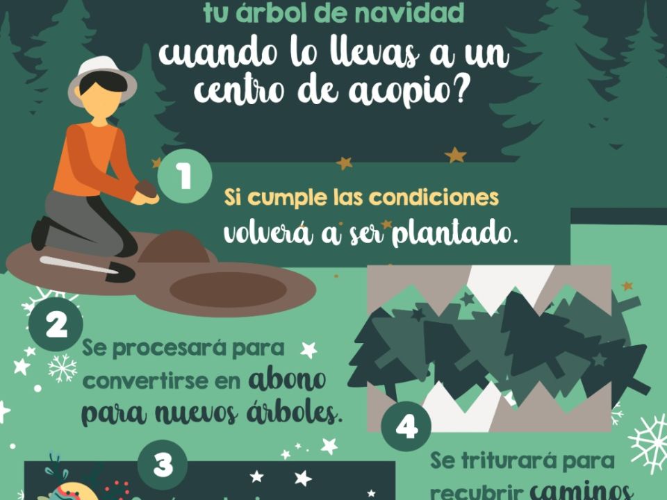 Infografía Árbol de Navidad