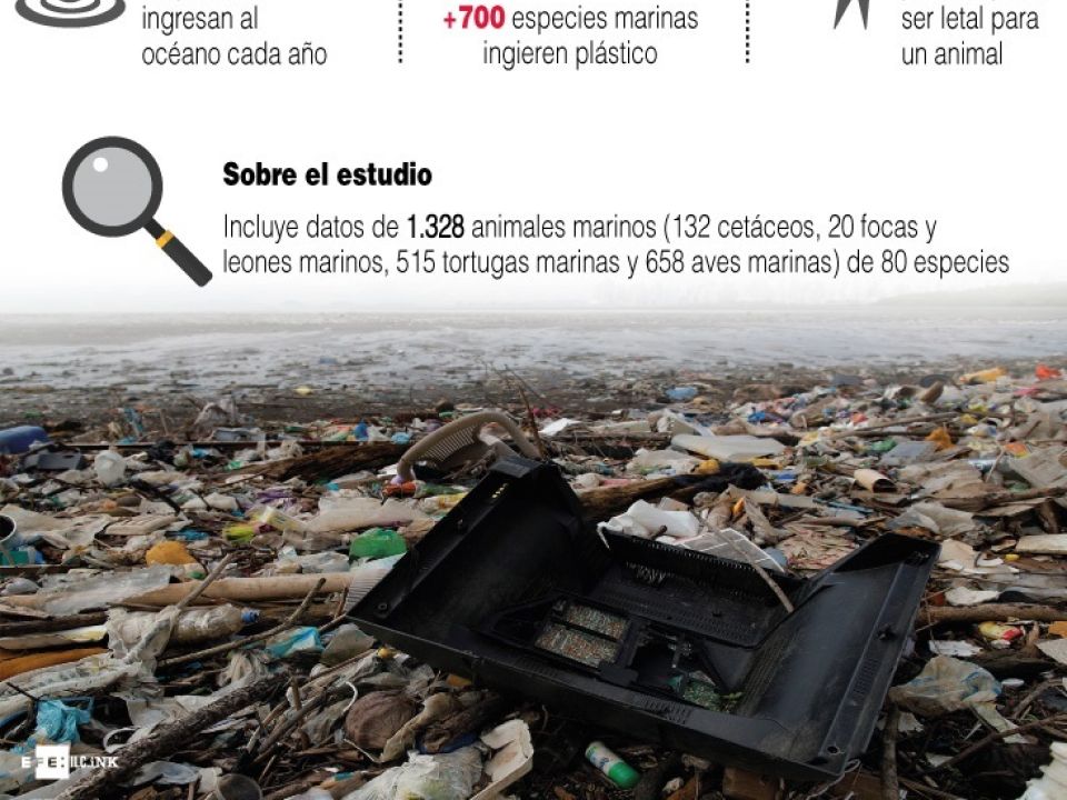 Infografía contaminación